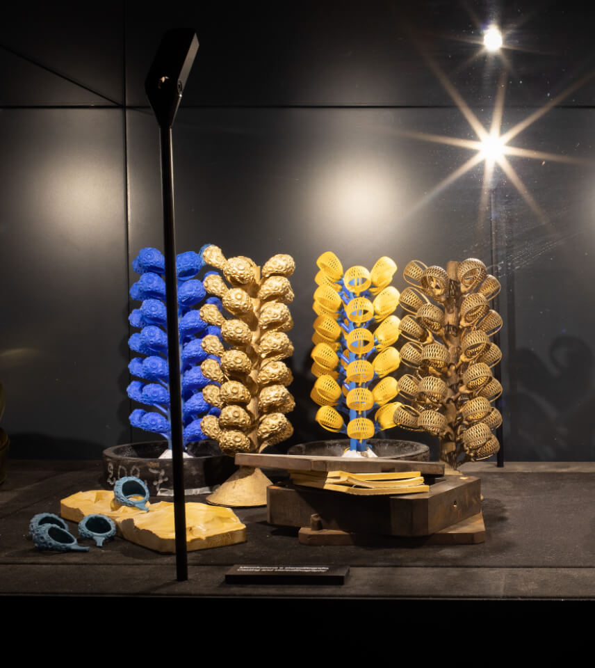 Dettaglio di un prodotto in esposizione del museo Orodautore